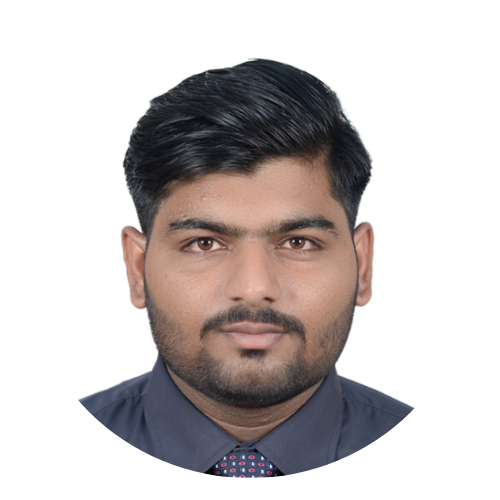 Developer